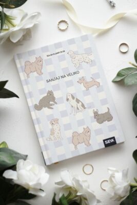 Šolski planer Veseli Koledar- Sanjaj na veliko
